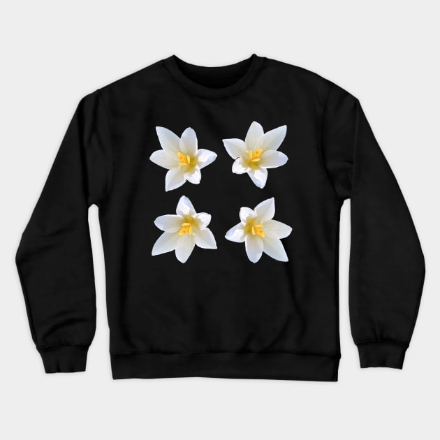 White Crocus Bouquet No Background Crewneck Sweatshirt by DesignMore21